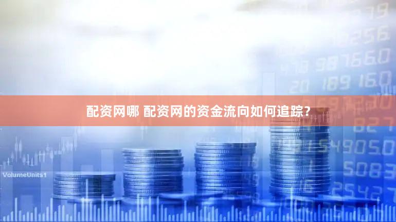 配资网哪 配资网的资金流向如何追踪？