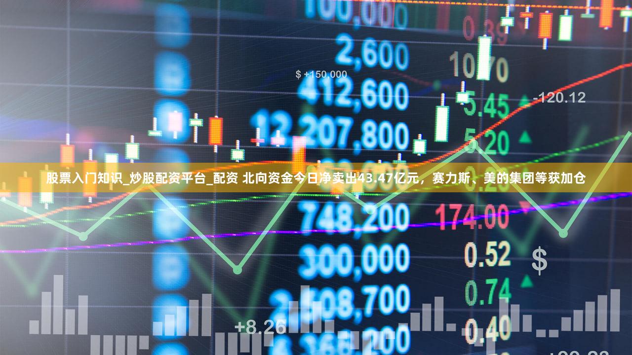 股票入门知识_炒股配资平台_配资 北向资金今日净卖出43.47亿元，赛力斯、美的集团等获加仓