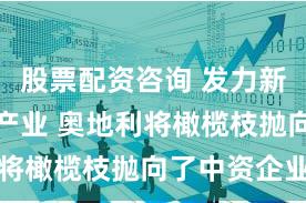 股票配资咨询 发力新能源汽车产业 奥地利将橄榄枝抛向了中资企业