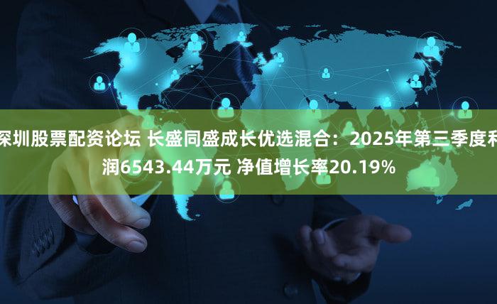 深圳股票配资论坛 长盛同盛成长优选混合：2025年第三季度利润6543.44万元 净值增长率20.19%