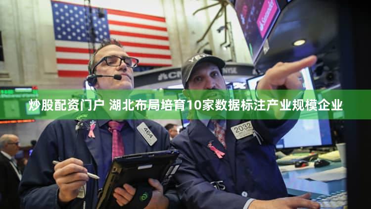 炒股配资门户 湖北布局培育10家数据标注产业规模企业