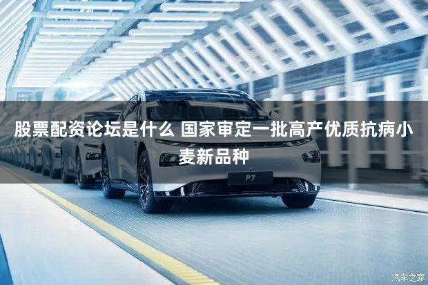 股票配资论坛是什么 国家审定一批高产优质抗病小麦新品种