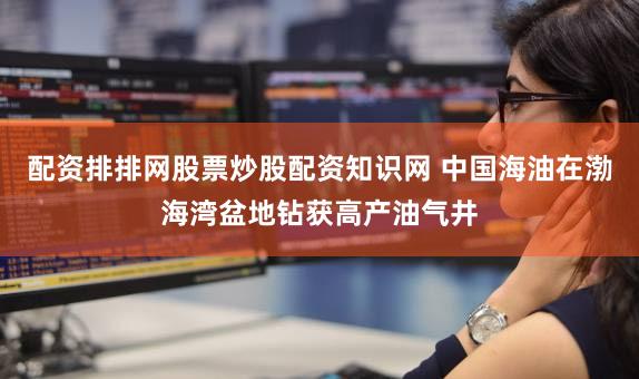 配资排排网股票炒股配资知识网 中国海油在渤海湾盆地钻获高产油气井