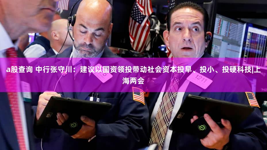 a股查询 中行张守川:建议以国资领投带动社会资本投早、投小、投硬科技|上海两会