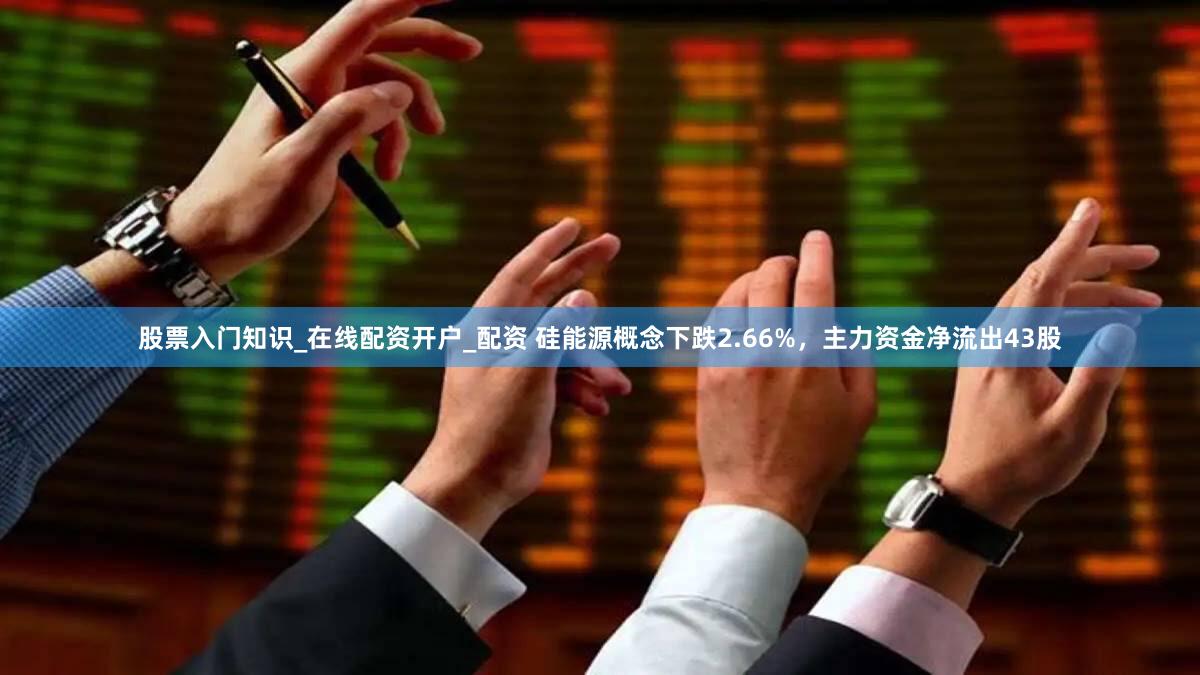 股票入门知识_在线配资开户_配资 硅能源概念下跌2.66%，主力资金净流出43股