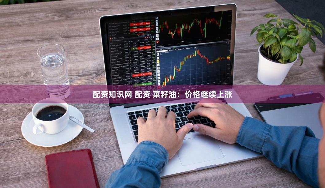 配资知识网 配资 菜籽油：价格继续上涨