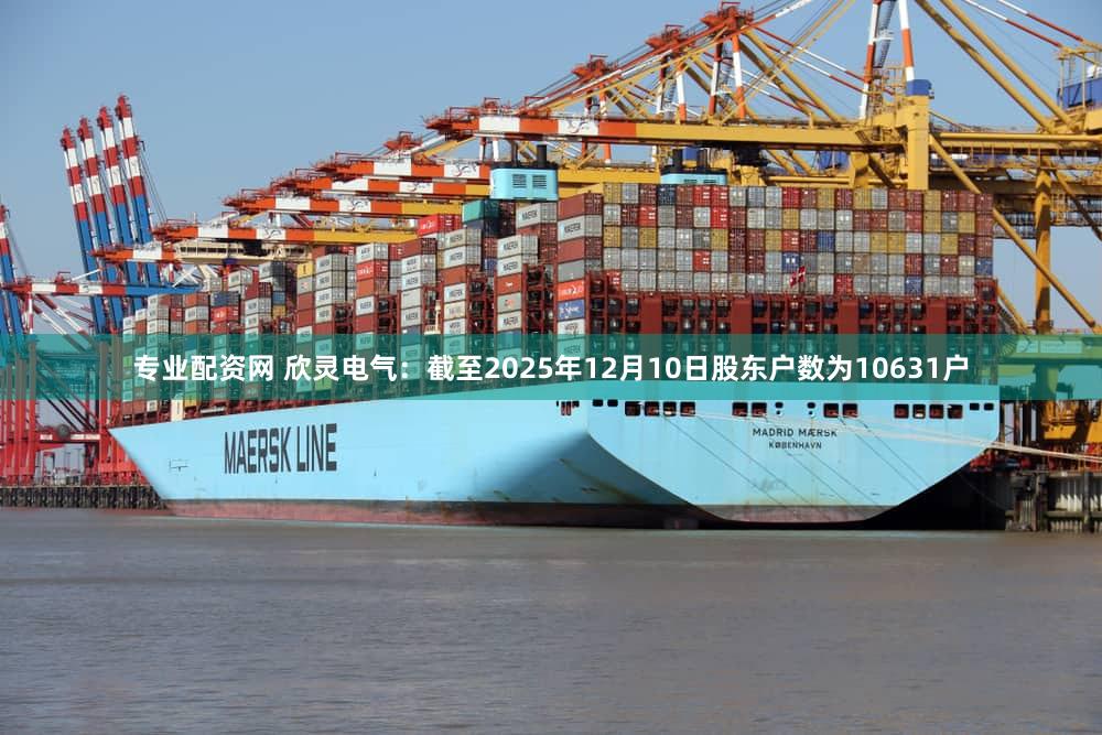 专业配资网 欣灵电气：截至2025年12月10日股东户数为10631户