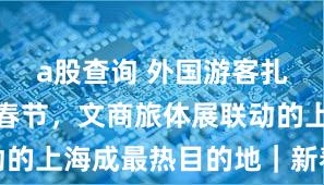 a股查询 外国游客扎堆来华过春节，文商旅体展联动的上海成最热目的地｜新春走基层