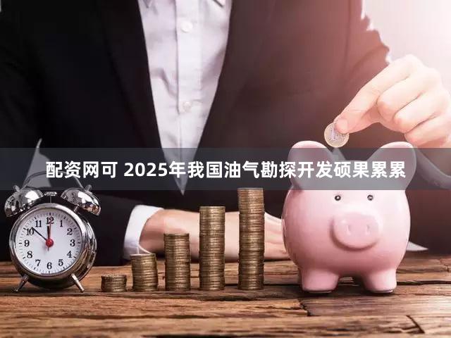 配资网可 2025年我国油气勘探开发硕果累累